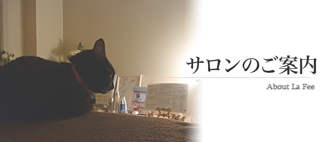 サロンのご案内